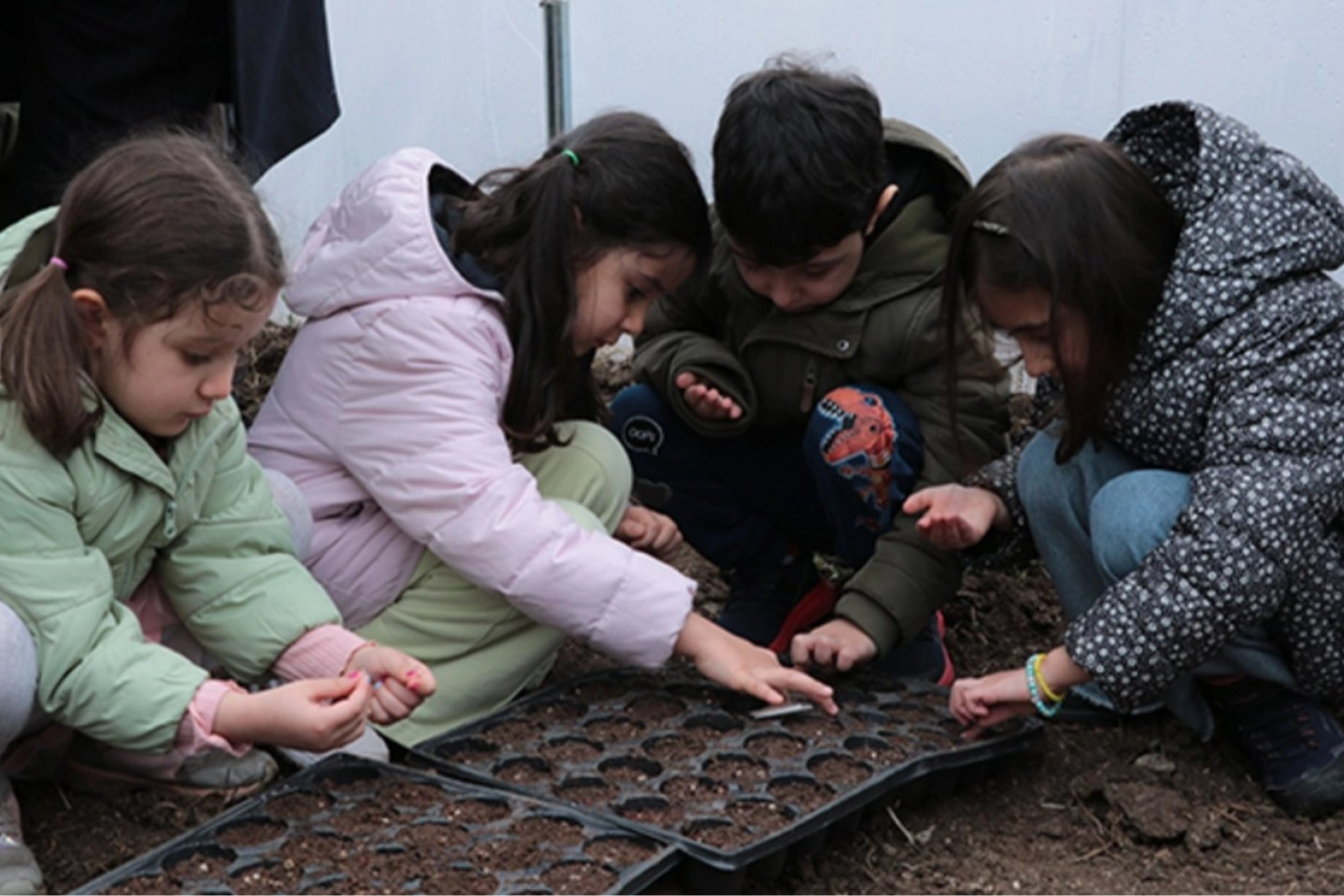 Yozgat'ta 'Ata Tohumları' miniklerin ellerinde filizlenecek