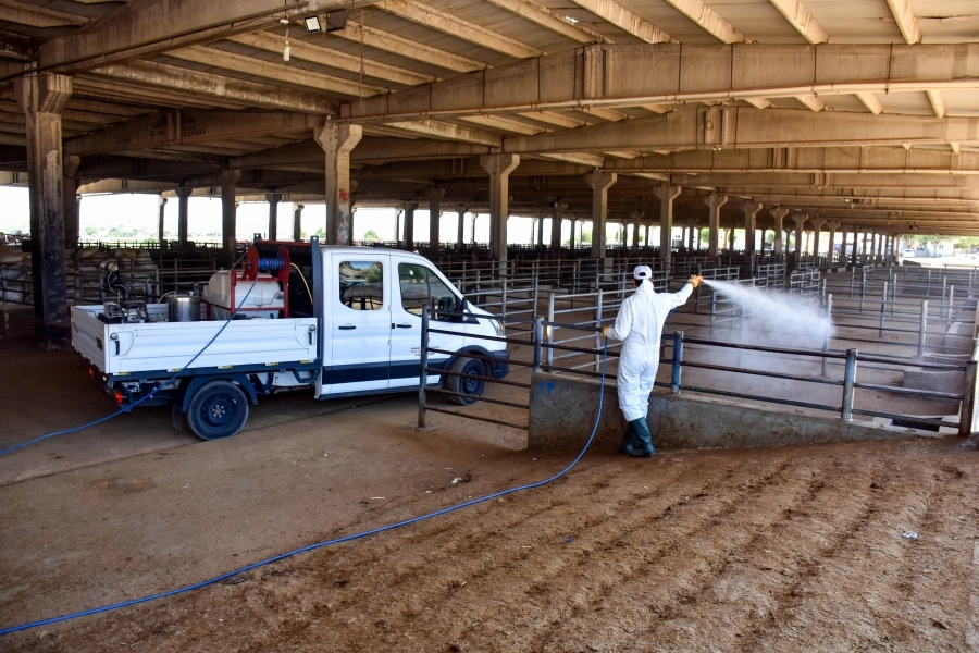 Diyarbakır'da Canlı Hayvan Borsası dezenfekte edildi