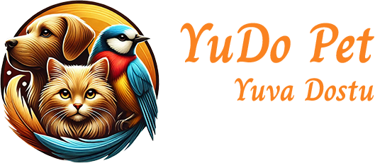 Kedi Sahiplenme: Minik Bir Dostla Hayat Değişir